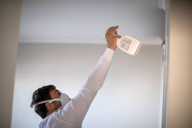 Mold Removal Process in Casey, IL