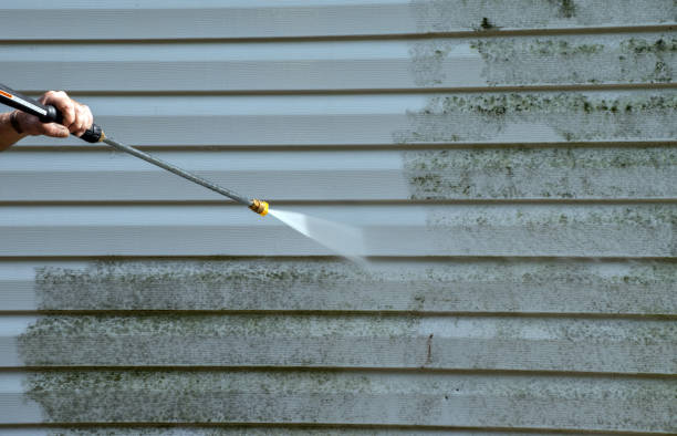 Best Office Mold Removal Services  in Casey, IL