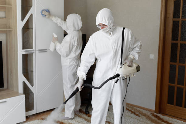 Best Toxic Mold Removal  in Casey, IL