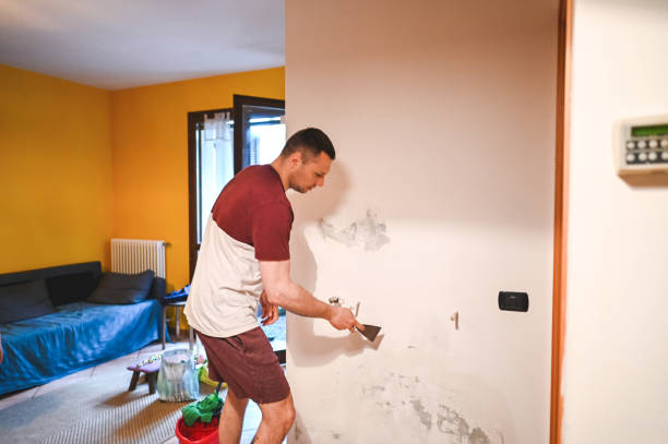 Best Certified Mold Removal  in Casey, IL